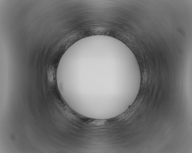 X0000113590138200909181056