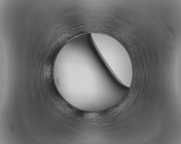 X0000113590139200909181056