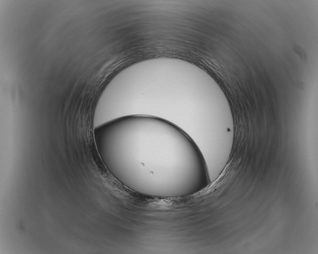 X0000113590140200909181056