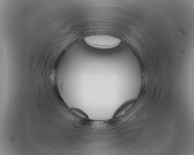 X0000113590141200909181055