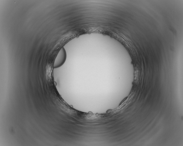 X0000113590142200909181055