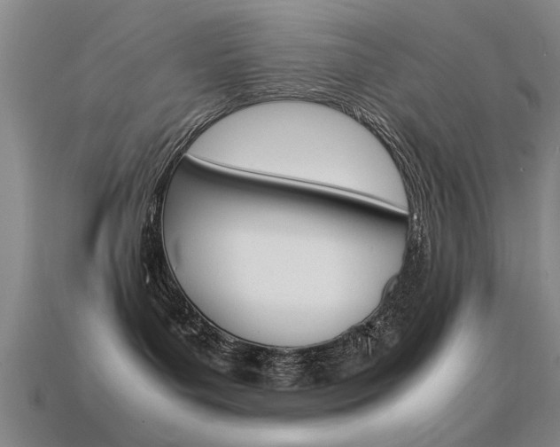 X0000113590143200909181055
