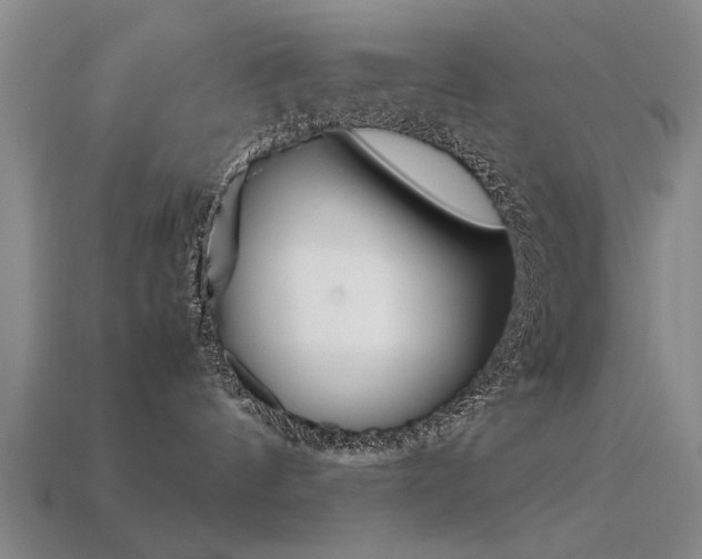 X0000113590144200909181055
