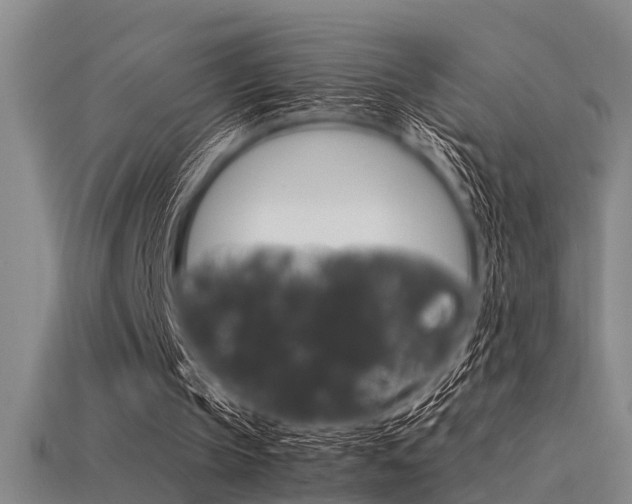 X0000113590145200909181055