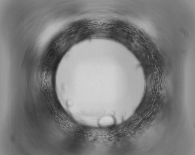 X0000113590146200909181055