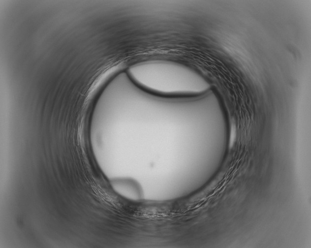 X0000113590147200909181055