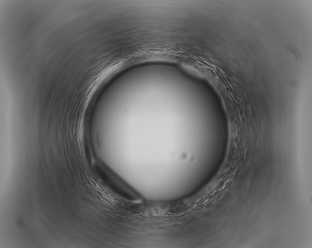 X0000113590148200909181055