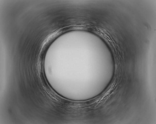 X0000113590149200909181055