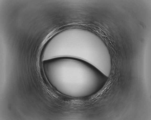 X0000113590150200909181055