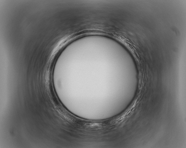 X0000113590151200909181055