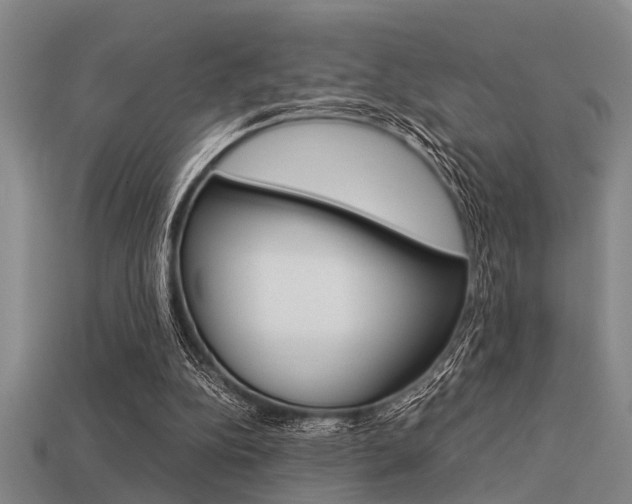 X0000113590152200909181055