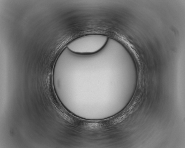 X0000113590153200909181055