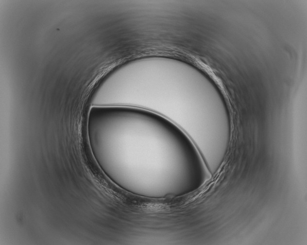 X0000113590154200909181055
