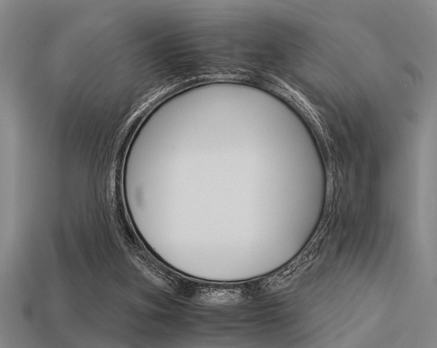X0000113590155200909181055
