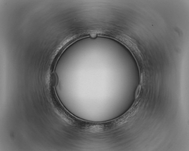 X0000113590156200909181055