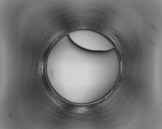 X0000113590157200909181055