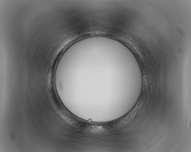X0000113590159200909181055