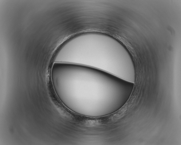 X0000113590160200909181055