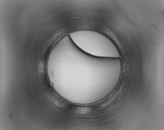X0000113590161200909181055
