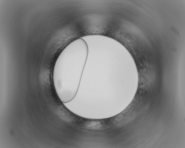 X0000113590162200909181055