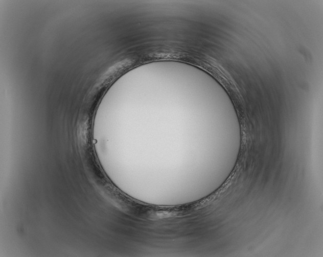X0000113590163200909181055
