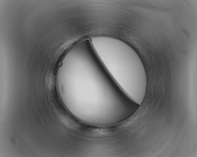 X0000113590164200909181055