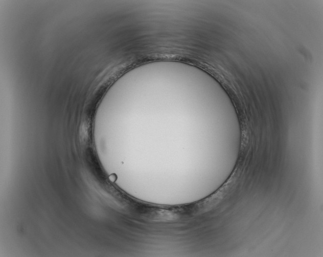 X0000113590166200909181055