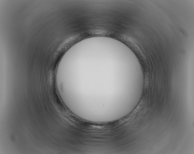 X0000113590167200909181055
