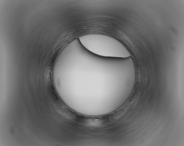 X0000113590169200909181055