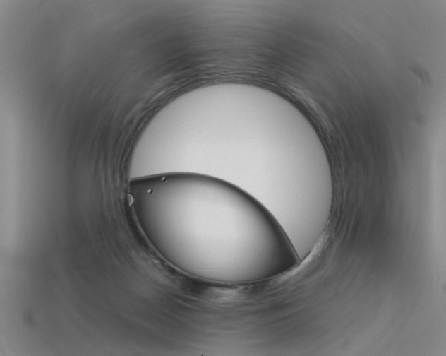 X0000113590170200909181055