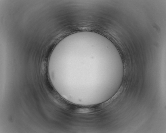 X0000113590171200909181055