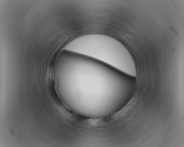 X0000113590172200909181055