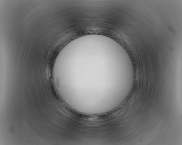 X0000113590173200909181055