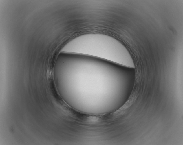 X0000113590176200909181055