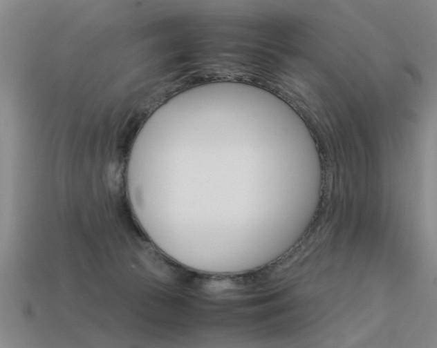 X0000113590177200909181055