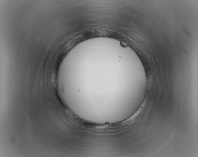 X0000113590178200909181055