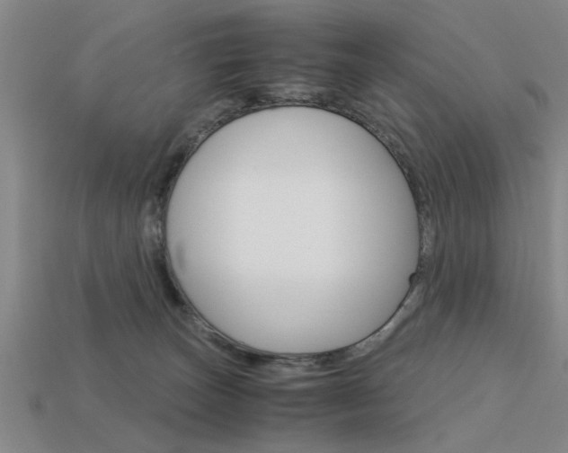 X0000113590179200909181055