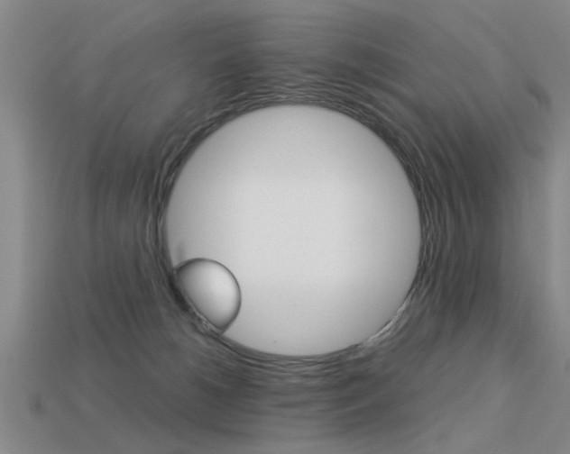 X0000113590180200909181055