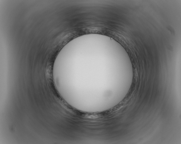 X0000113590181200909181055