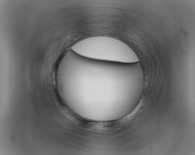 X0000113590182200909181055