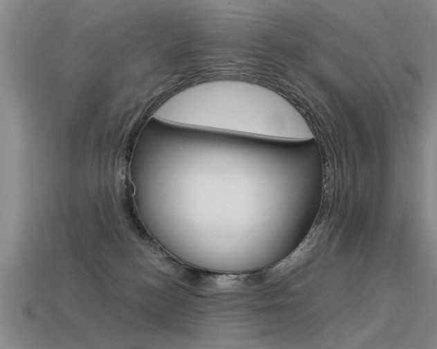 X0000113590184200909181055