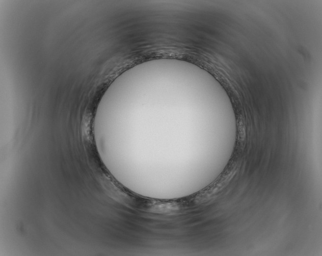 X0000113590185200909181055