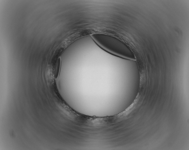 X0000113590186200909181055