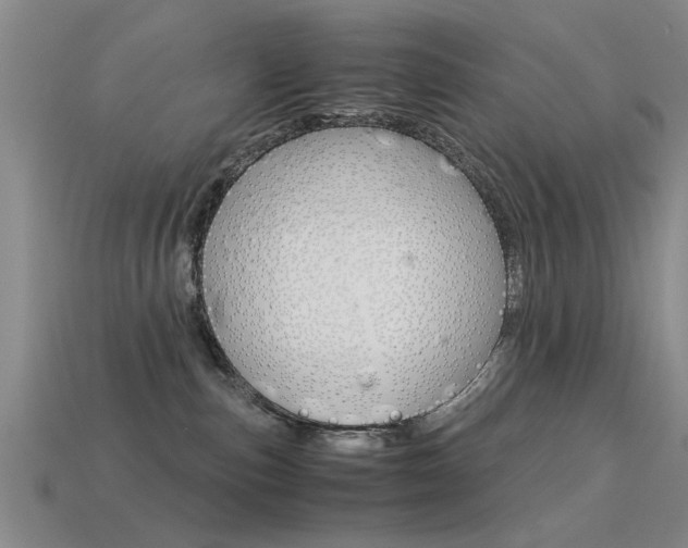 X0000113590187200909181055