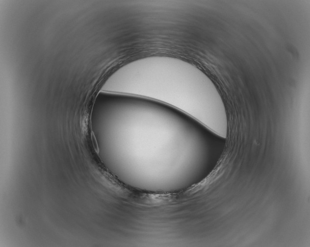 X0000113590188200909181055