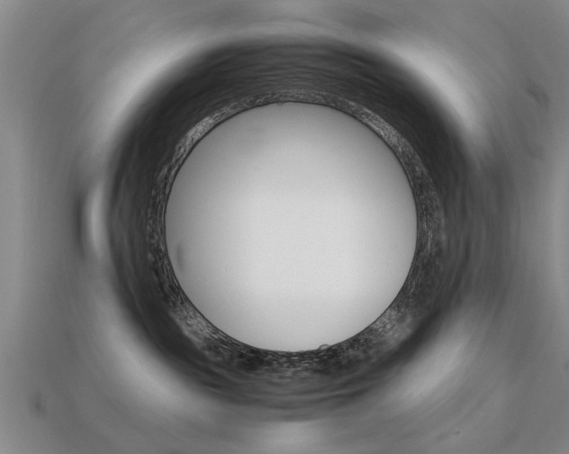 X0000113590189200909181055