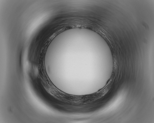 X0000113590191200909181055