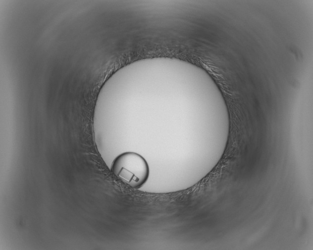 X0000113590192200909181055
