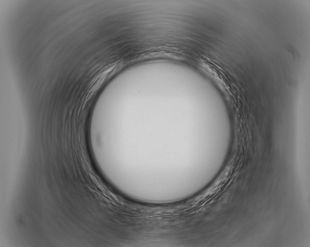 X0000113590193200909181055