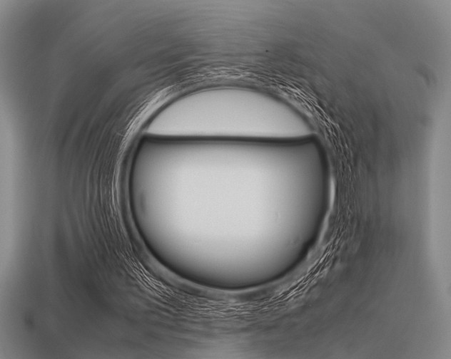 X0000113590195200909181055